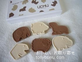 UCHU WAGASHI