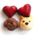 &chocolatアンドチョコレートのいぬチョコ（柴犬・トイプードル）3種４個いり。